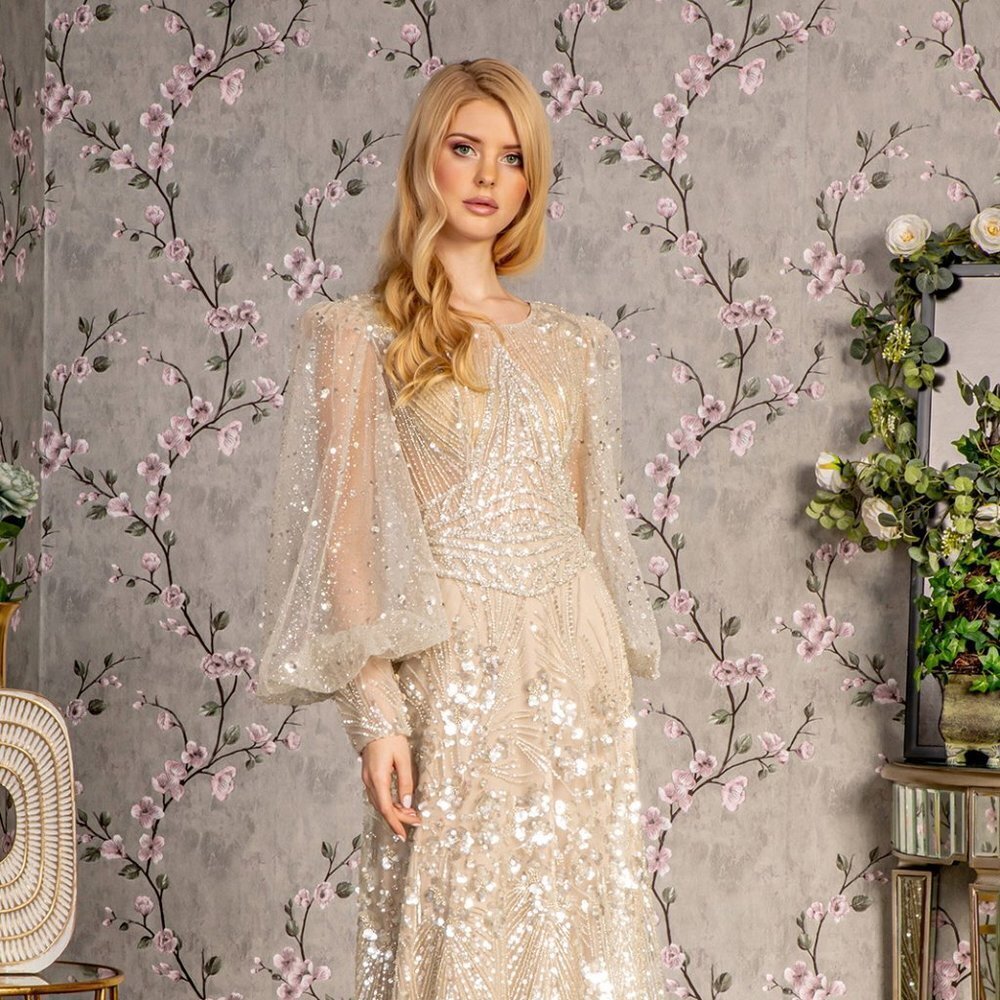 NEW LONG FORMAL A-LINE MOTHER OF BRIDE DRESS WITH LONG SHEER SLEEVES GL3497